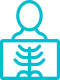 Radiografie (RX)