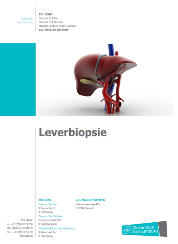 Leverbiopsie