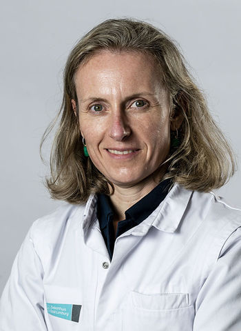 Liesbeth Meylaerts